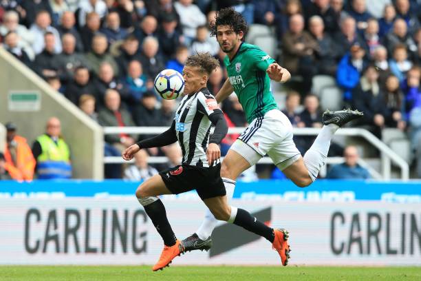 也激励了粉 也激励了粉