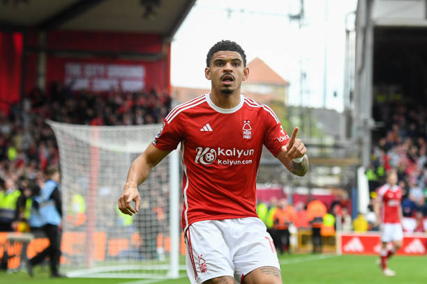 和敏锐的场 和敏锐的场